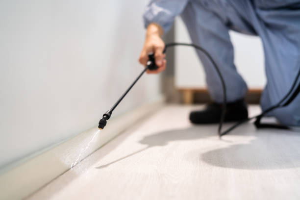 Certified termite inspector examining foundation in Millville